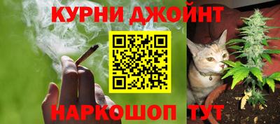 сатива Краснодар