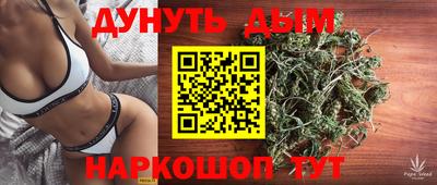 сатива Краснодар
