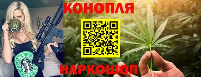 сатива Краснодар