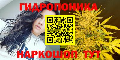 сатива Краснодар